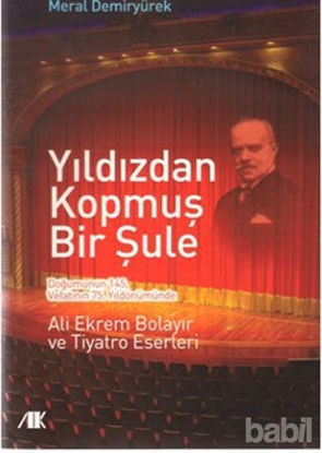 Picture of Yıldızdan Kopmuş Bir Şule