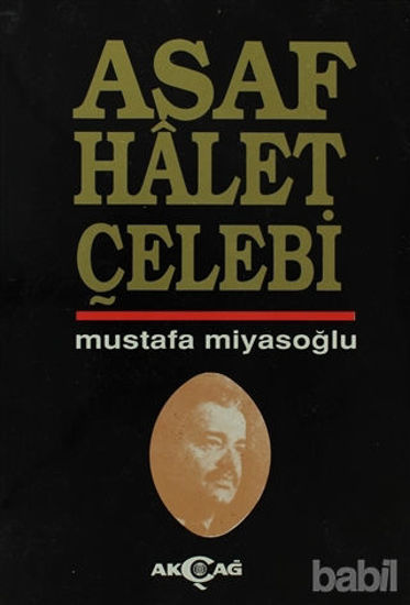 Picture of Asaf Halet Çelebi