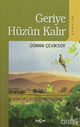 Picture of Geriye Hüzün Kalır
