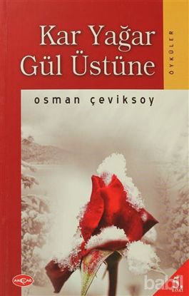 Picture of Kar Yağar Gül Üstüne