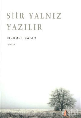 Picture of Şiir Yalnız Yazılır
