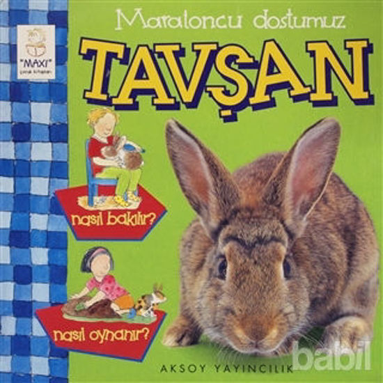 Picture of Maratoncu Dostumuz Tavşan Nasıl Bakılır? Nasıl Oynanır?