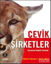 Picture of Çevik Şirketler