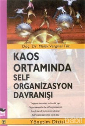 Picture of Kaos Ortamında Self Organizasyon Davranışı