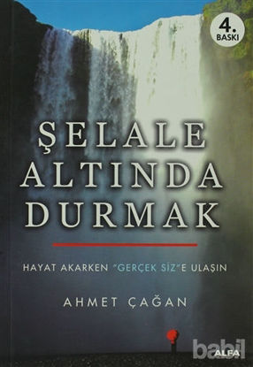 Picture of Şelale Altında Durmak