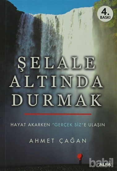 Picture of Şelale Altında Durmak