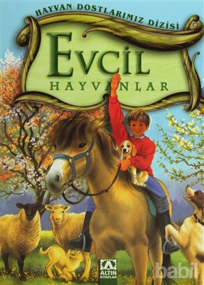 Picture of Evcil Hayvanlar