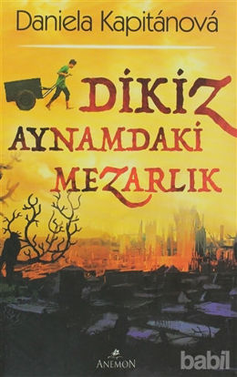 Picture of Dikiz Aynamdaki Mezarlık