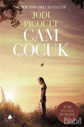 Picture of Cam Çocuk