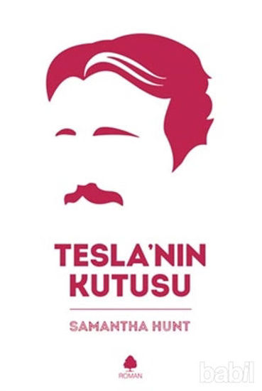 Picture of Tesla’nın Kutusu