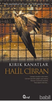 Picture of Kırık Kanatlar