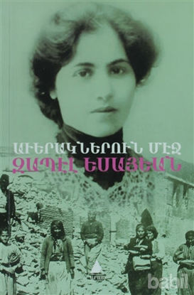 Picture of Yıkıntılar Arasında - Averagneru Meç