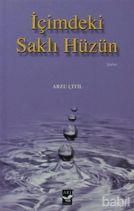 Picture of İçimdeki Saklı Hüzün