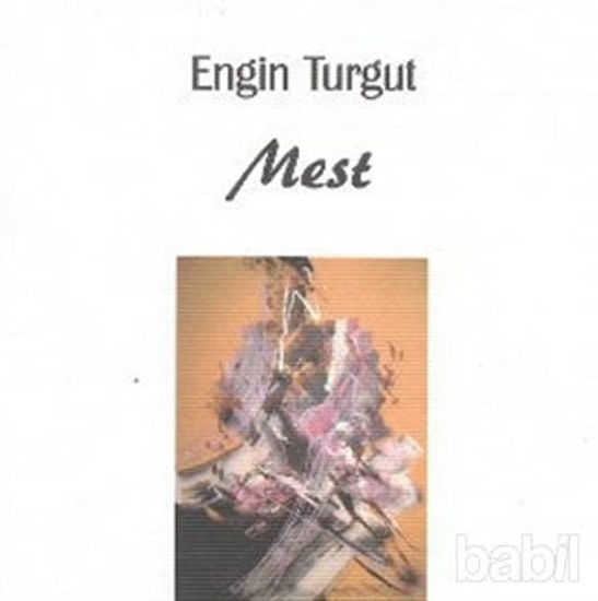 Picture of Mest