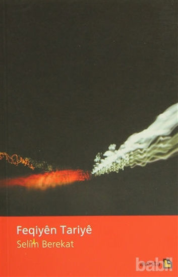 Picture of Feqiyen Tariye