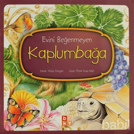 Picture of Evini Beğenmeyen Kaplumbağa