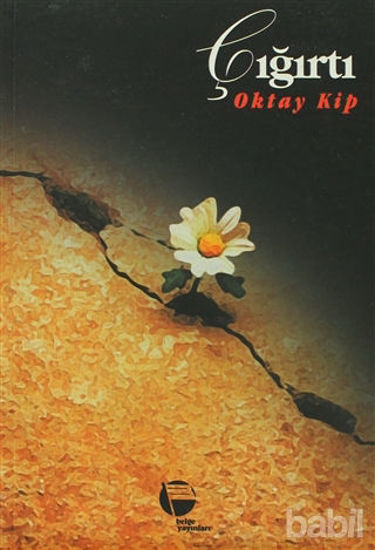 Picture of Çığırtı