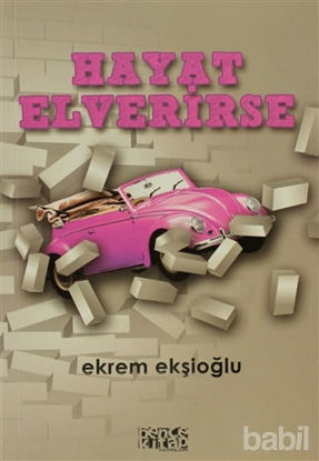 Picture of Hayat Elverirse