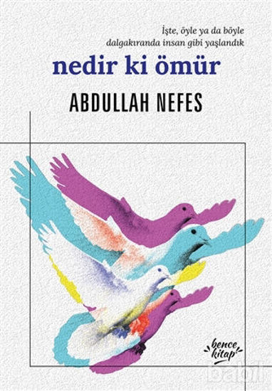 Picture of Nedir ki Ömür