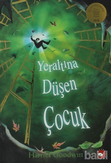 Picture of Yeraltına Düşen Çocuk
