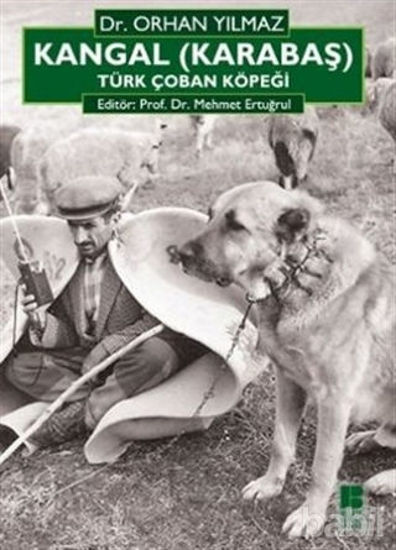 Picture of Kangal (Karabaş) Türk Çoban Köpeği