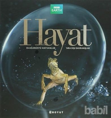 Picture of Hayat