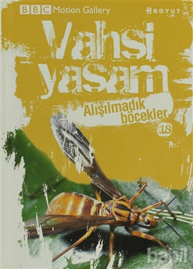 Picture of Vahşi Yaşam 2 - Alışılmadık Böcekler