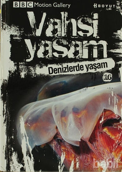 Picture of Vahşi Yaşam 2 - Denizlerde Yaşam
