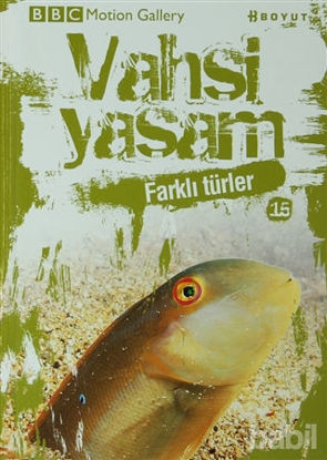 Picture of Vahşi Yaşam 2 - Farklı Türler