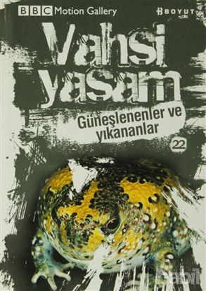 Picture of Vahşi Yaşam 2 - Güneşlenenler ve Yıkananlar
