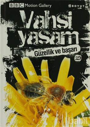 Picture of Vahşi Yaşam 2 - Güzellik ve Başarı