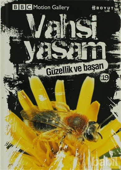 Picture of Vahşi Yaşam 2 - Güzellik ve Başarı