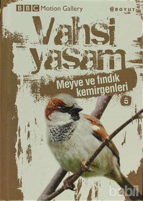 Picture of Vahşi Yaşam 2 - Meyve ve Fındık Kemirgenleri