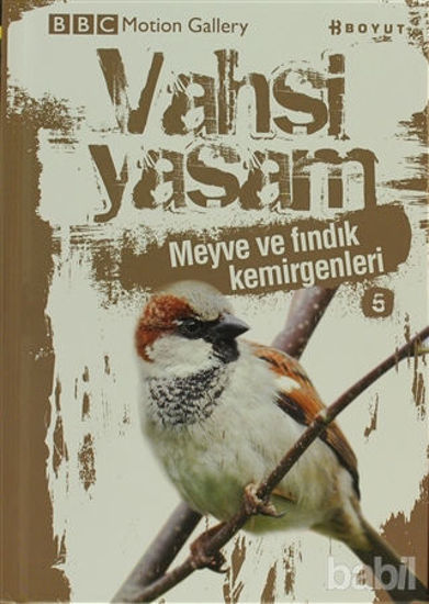 Picture of Vahşi Yaşam 2 - Meyve ve Fındık Kemirgenleri