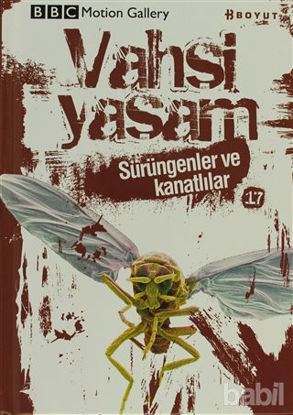 Picture of Vahşi Yaşam 2 - Sürüngenler ve Kanatlılar
