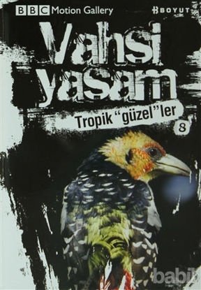 Picture of Vahşi Yaşam 2 - Tropik Güzeller