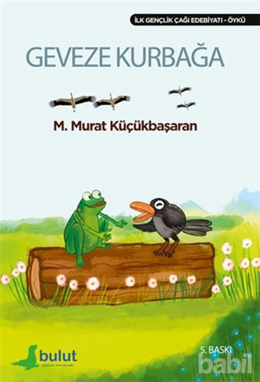 Picture of Geveze Kurbağa