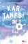Picture of Kar Tanesi