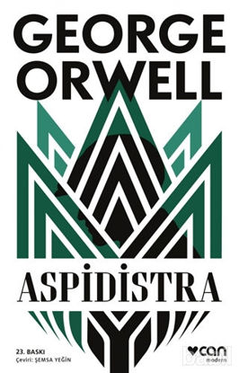 Picture of Aspidistra