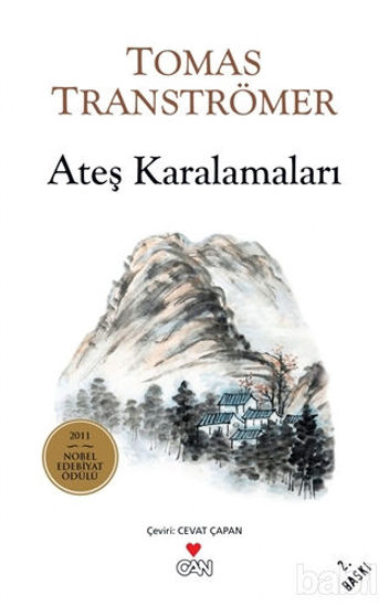 Picture of Ateş Karalamaları