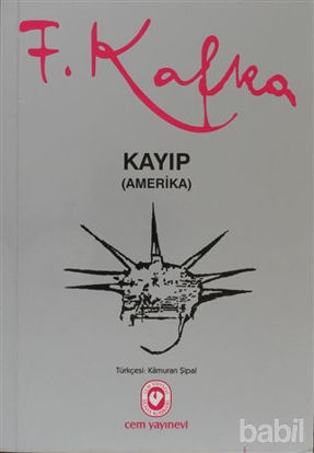 Picture of Kayıp (Amerika)