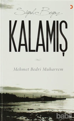 Picture of Siyah Beyaz Kalamış