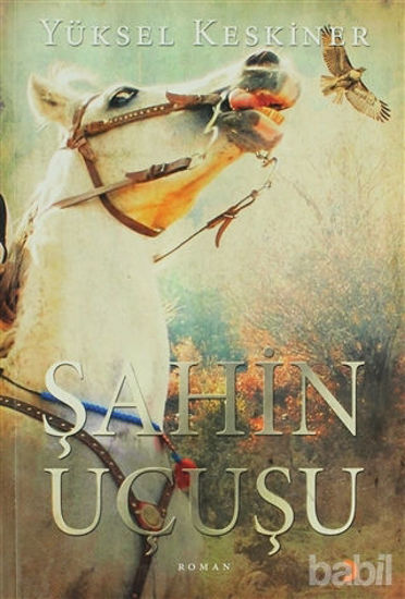 Picture of Şahin Uçuşu