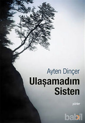 Picture of Ulaşamadım Sisten