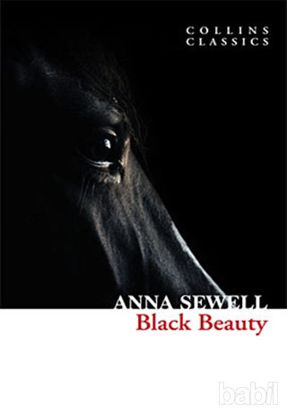 Picture of Black Beauty