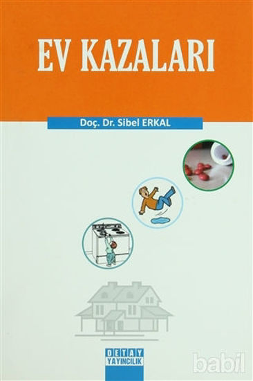 Picture of Ev Kazaları