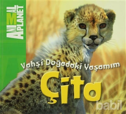 Picture of Vahşi Doğadaki Yaşamım: Çita