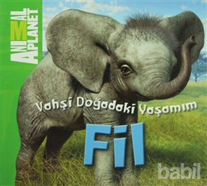 Picture of Vahşi Doğadaki Yaşamım: Fil