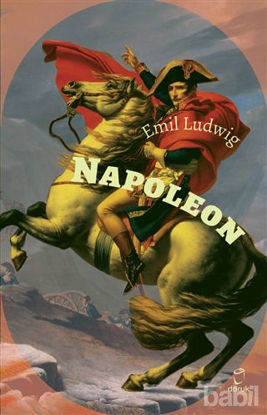 Picture of Napoleon