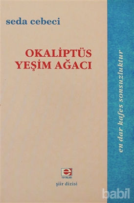 Picture of Okaliptüs Yeşim Ağacı